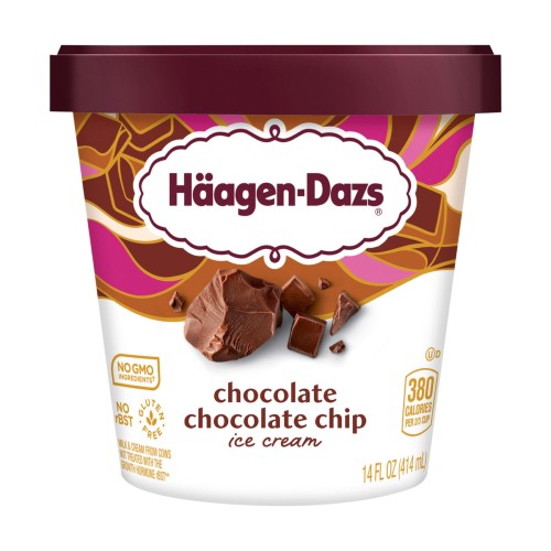 HAAGEN DAZS CHOCOLATE CHOCOLATE CHIP