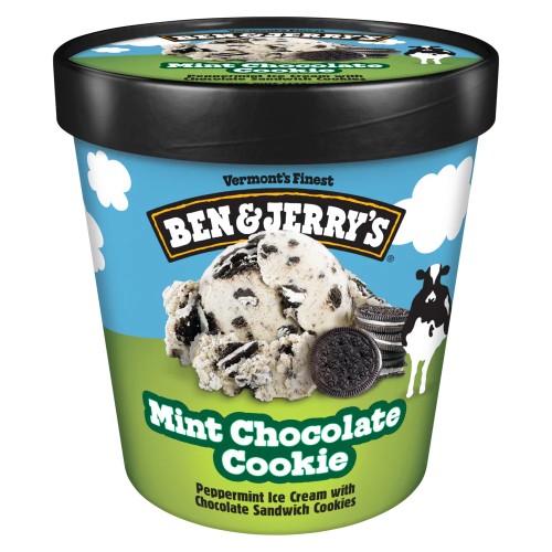 BEN & JERRY MINT CHOCOLATE COOKIE