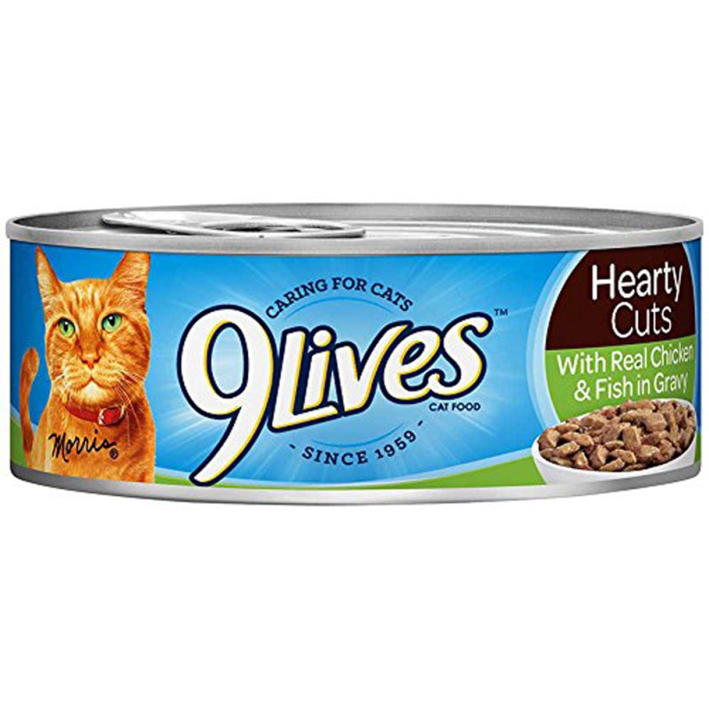 9LIVES W/ REAL CHI & FISH GRAVY